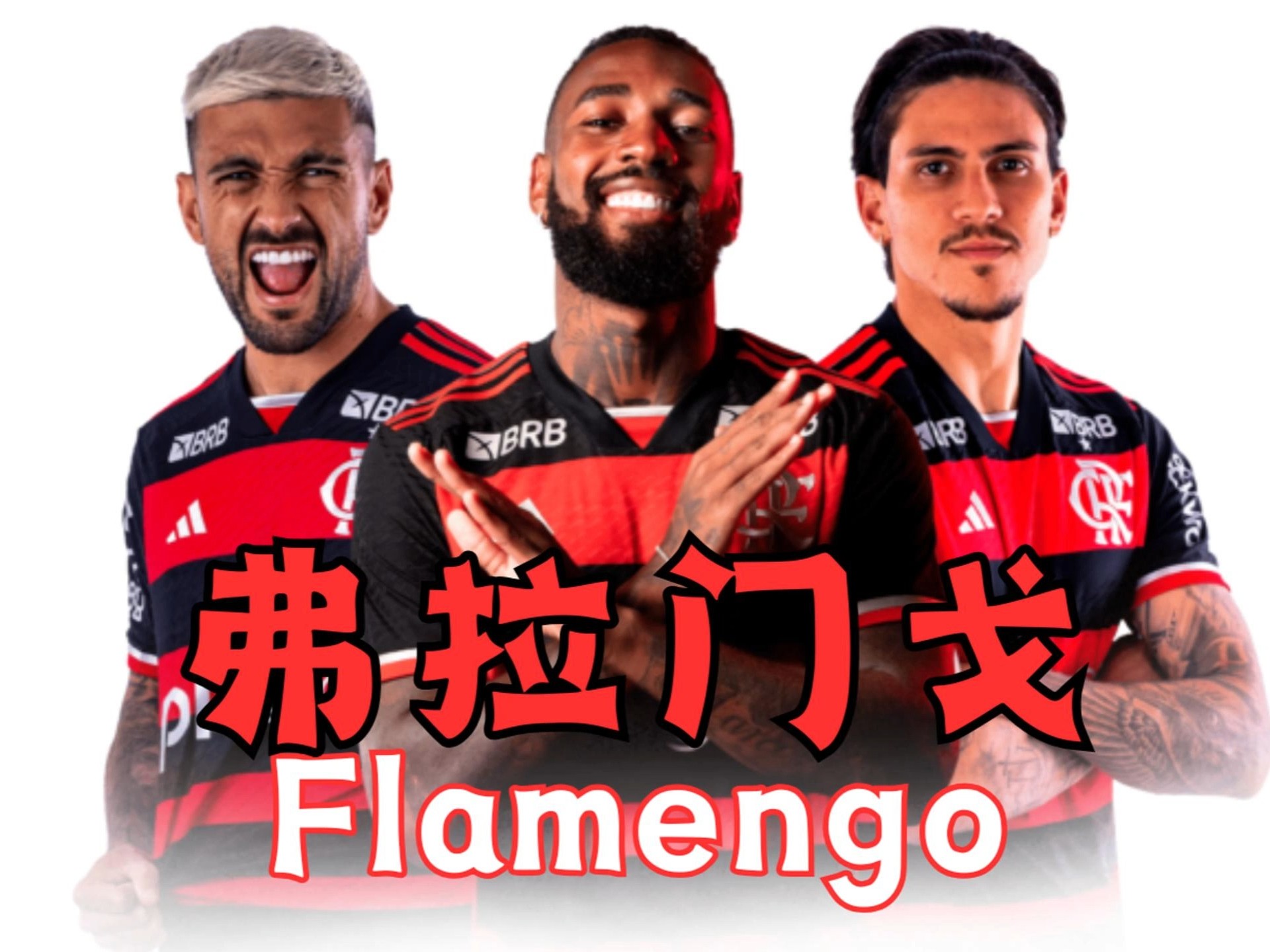 关于世俱杯B组最新积分排名榜巴甲球队博塔弗戈登顶的信息 第1张 关于世俱杯B组最新积分排名榜巴甲球队博塔弗戈登顶的信息 第1张