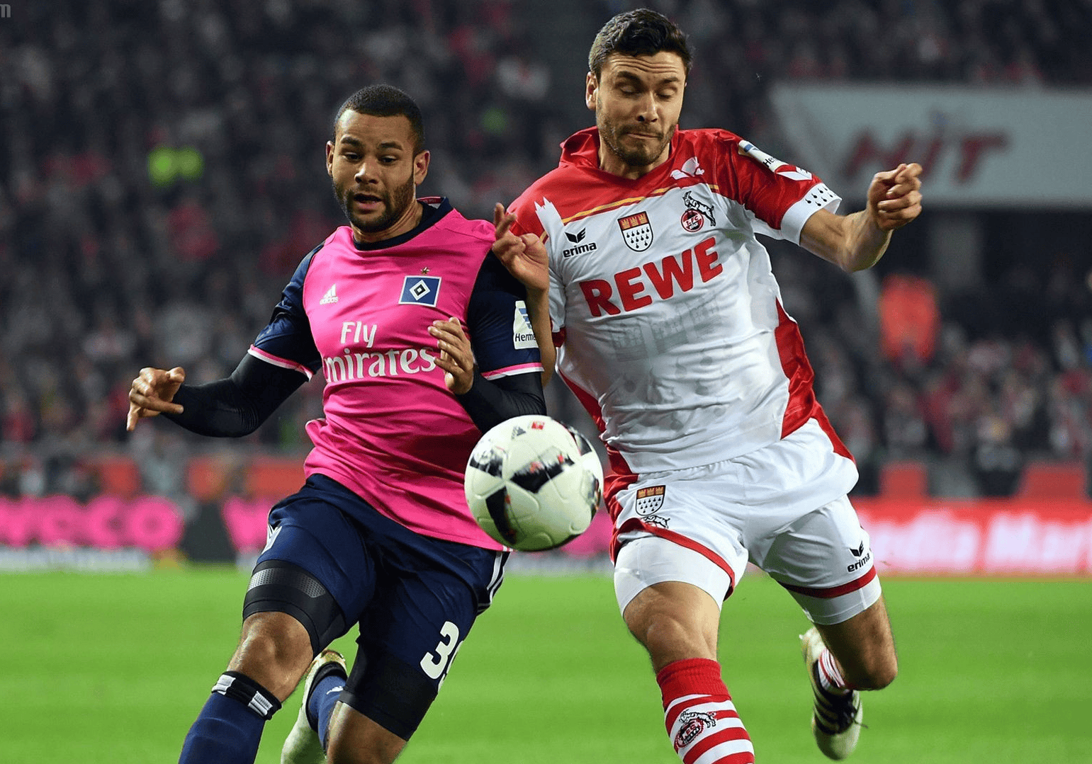 关于英乙:弗利特伍德VS什鲁斯伯里的信息 第2张 关于英乙:弗利特伍德VS什鲁斯伯里的信息 第2张