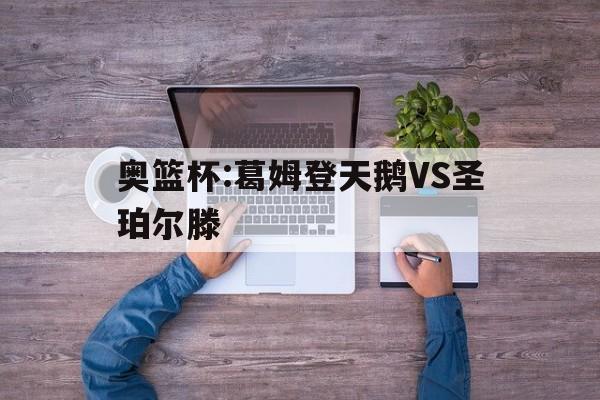 奥篮杯:葛姆登天鹅VS圣珀尔滕的简单介绍  第1张
