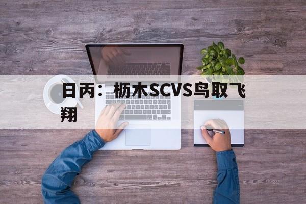 包含日丙：枥木SCVS鸟取飞翔的词条  第1张