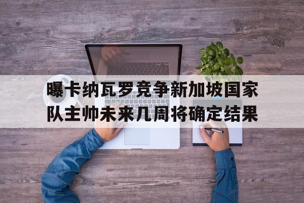 曝卡纳瓦罗竞争新加坡国家队主帅未来几周将确定结果的简单介绍