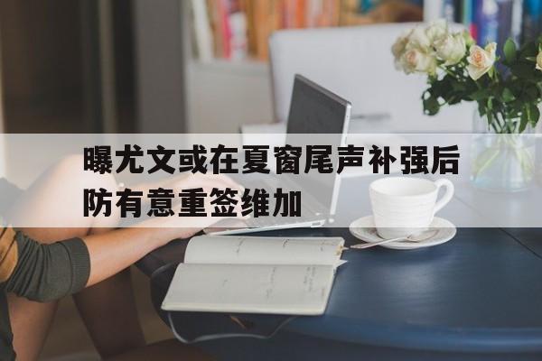 曝尤文或在夏窗尾声补强后防有意重签维加的简单介绍 第1张 曝尤文或在夏窗尾声补强后防有意重签维加的简单介绍 第1张